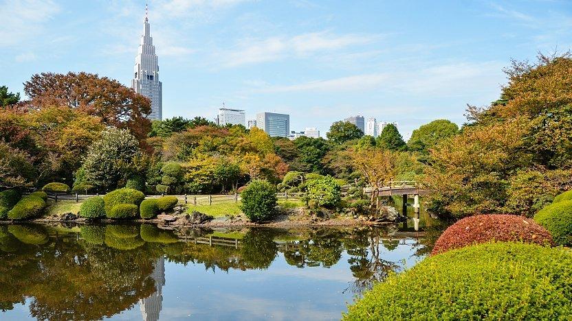 Shinjuku Gyoen National Garden, Tokyo -Best Tourist Attraction in Japan 